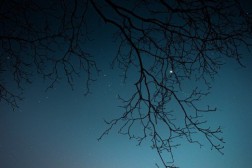 62f34b7a2039b_dark-bg.jpg-93873.jpg